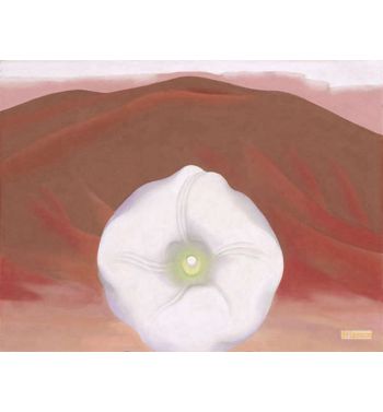 Red Hills And White Flower 1937