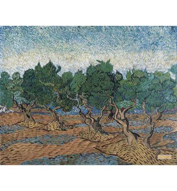 Olive Grove 1889
