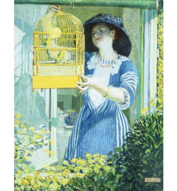 The Open Window