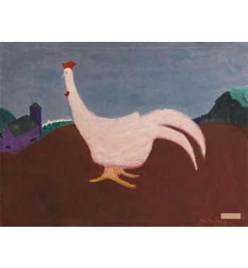 Pink Cock