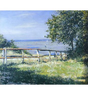 Field Seafront