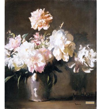 Still Life Vase Of Peonies