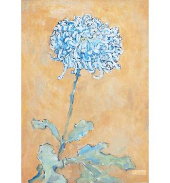 Chrysanthemum, 2 2