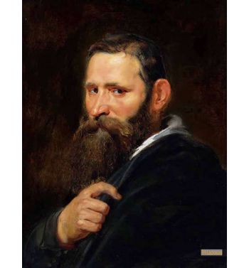Head Of A Bearded Man