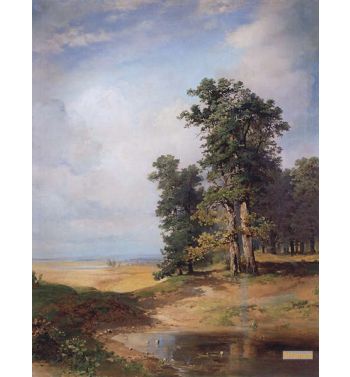 Summer Landscape With Oaks