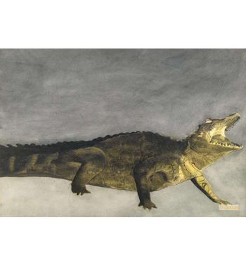 Crocodile On Gray Background