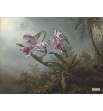 Pink Orchids And Hummingbird On A Twig 1875