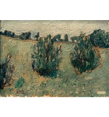 Landscape With Pine Trees