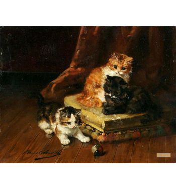 Kittens