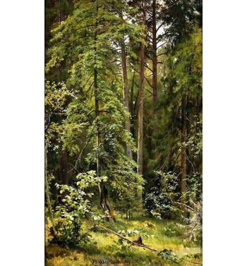 A Forest