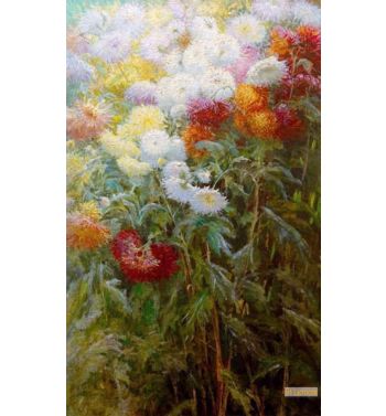Mass Of Chrysanthemums Garden Of Petit Gennevilliers