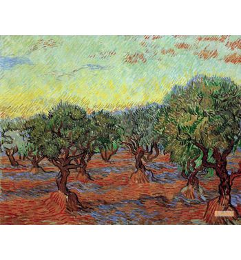 Olive Grove 5