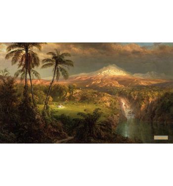 Passing Shower In The Tropics