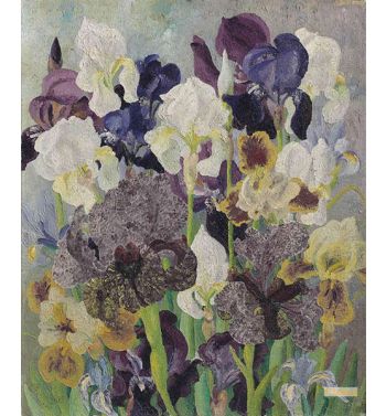 May Flowering Irises No, 2, 1935