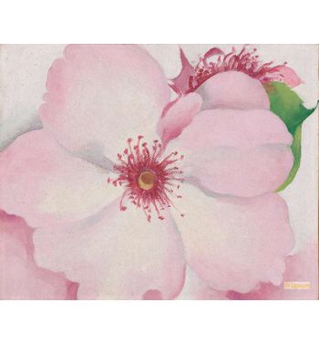 Rose Ca, 1957