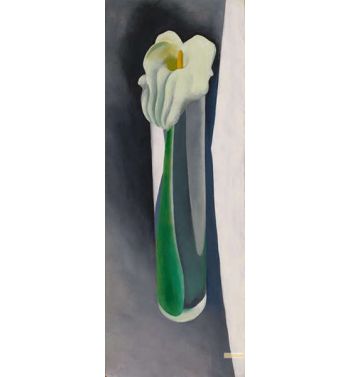 Calla Lily In Tall Glass No, 2 1923