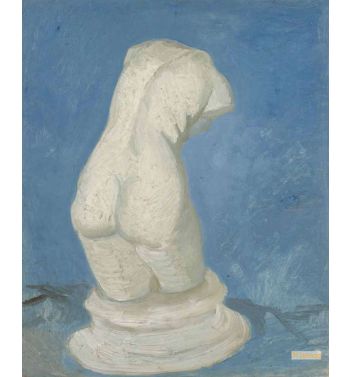 Torso Of Venus 