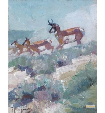 Three Antelope