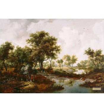 A Wooded Landscape