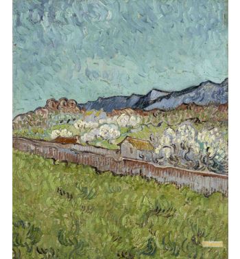 View Of The Alpilles