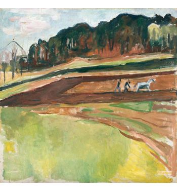 Ploughed Field, 1910S