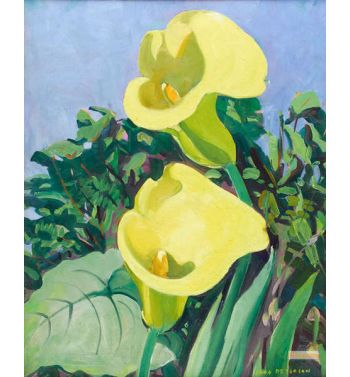 Lilies