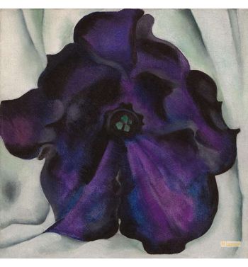 Purple Petunia 1925