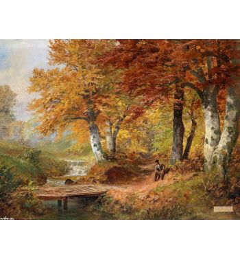 Autumn Forest