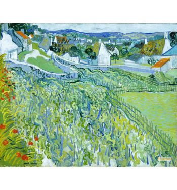 Vineyards With A View Of Auvers 