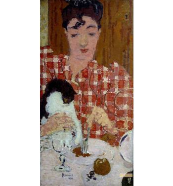 The Tile Bodice 1892 Di