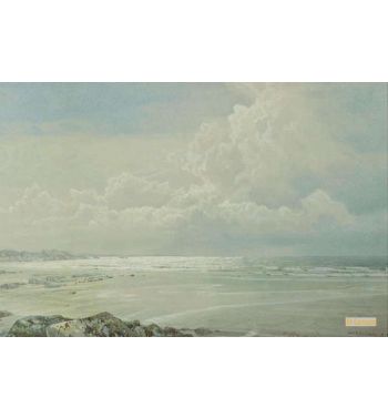 Coastal Scene