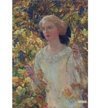The Grapevine 1911