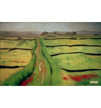 Path In The Moor
