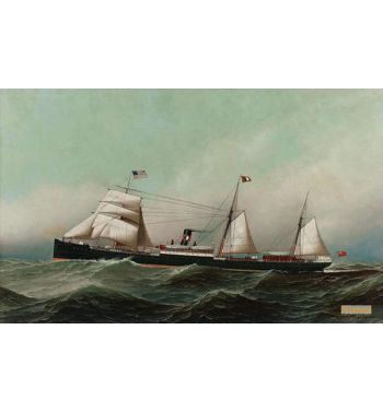 The Devon At Sea