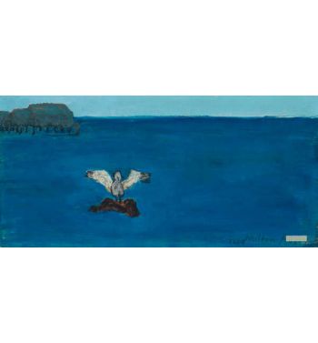 Gull, Sea