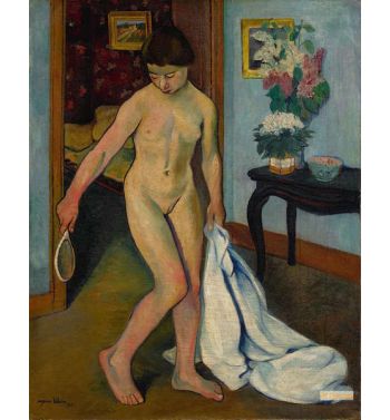 Nu Au Miroir