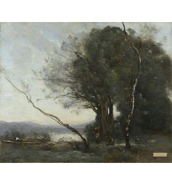 The Leaning Tree Trunk