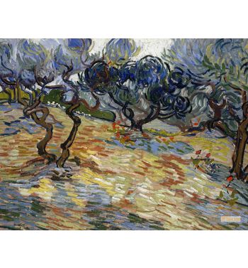 Olive Trees 9