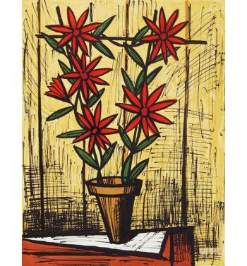 Marguerites Rouges