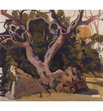 Trees In The Crimea 1911
