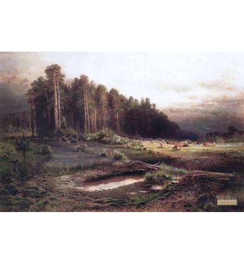 Elk Island In Sokolniki