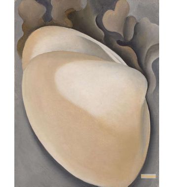 Tan Clam Shell With Seaweed 1926