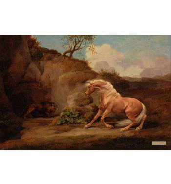 Horse Frightened By A Lion