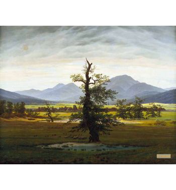The Lonely Tree