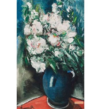 Noel Roses