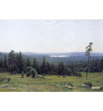 The Forest Horizons 1884