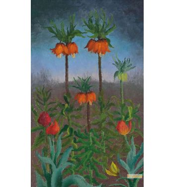 Fritillaria