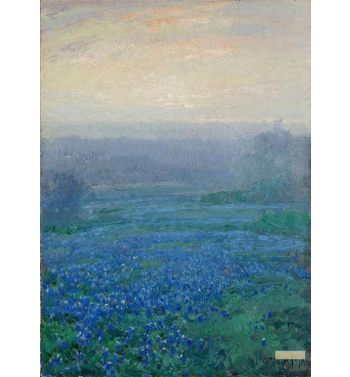 Bluebonnets At Sunrise
