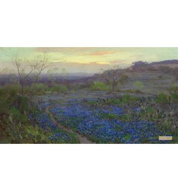 Blue Bonnets At Twilight