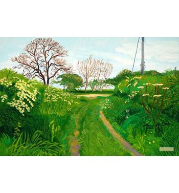 Woldgate Lane To Burton Agnes